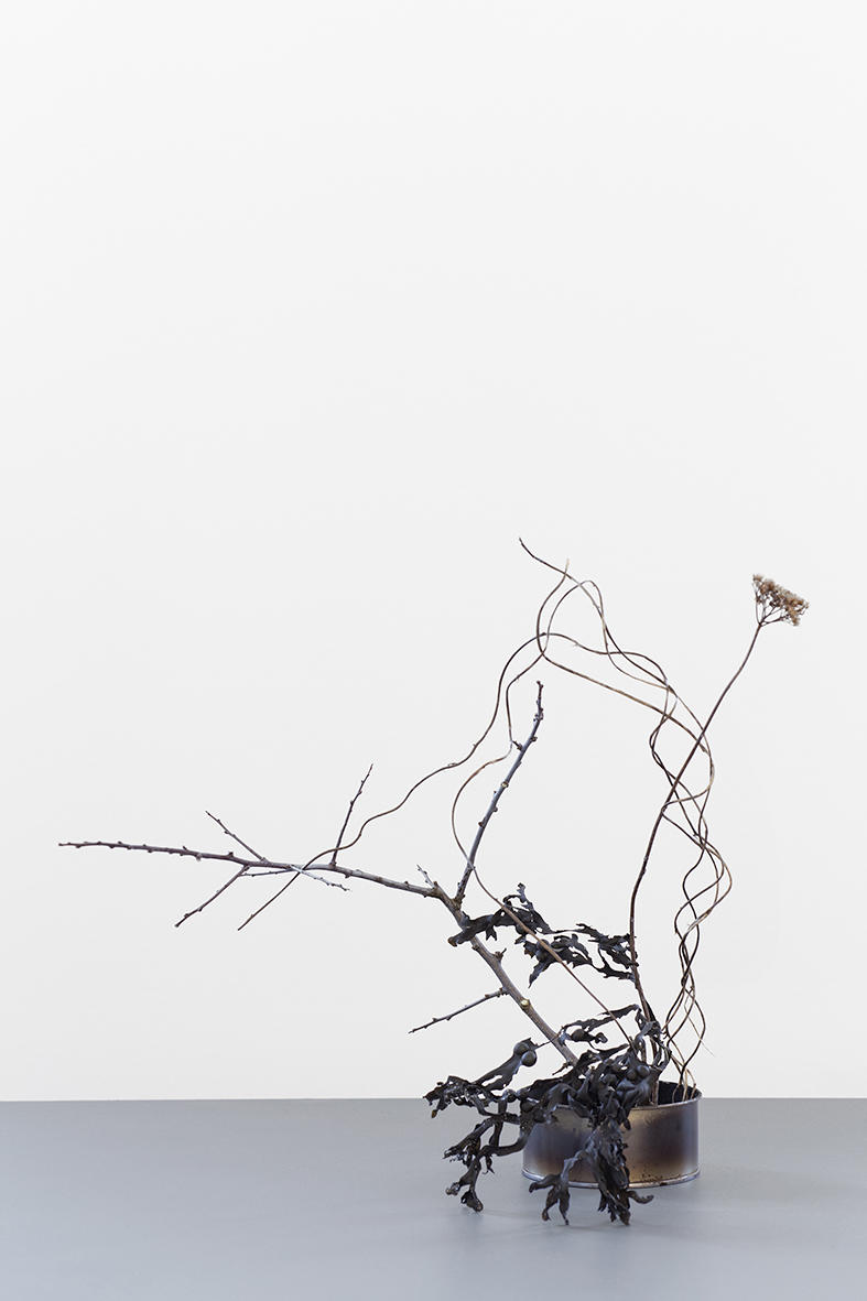 OneFlowerOneLeaf#4 - Nordiska Akvarellmuseet, Skärhamn, Sweden, 2018