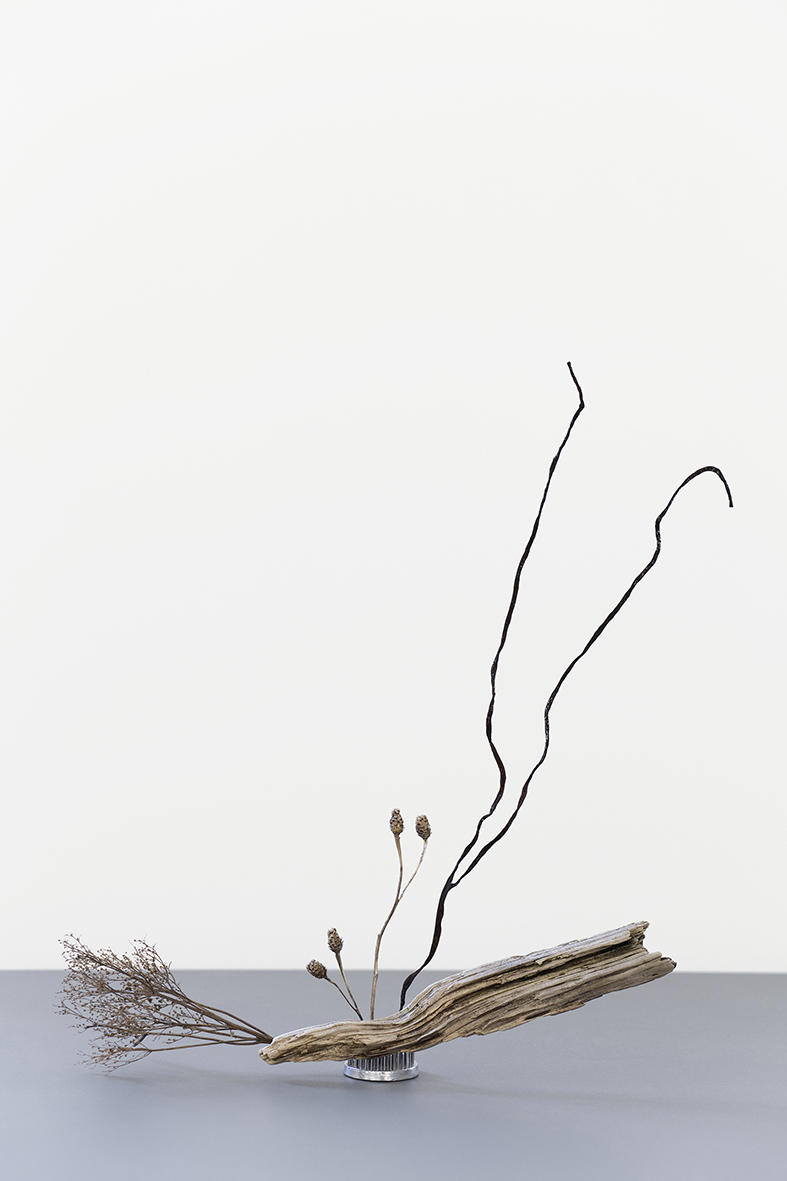 OneFlowerOneLeaf#4 - Nordiska Akvarellmuseet, Skärhamn, Sweden, 2018
