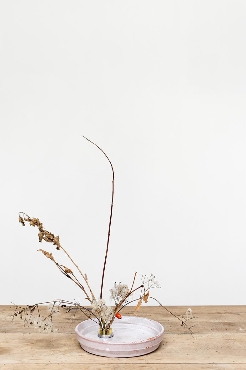 OneFlowerOneLeaf#1 - DRYPHOTO, Prato, Italy, 2016
