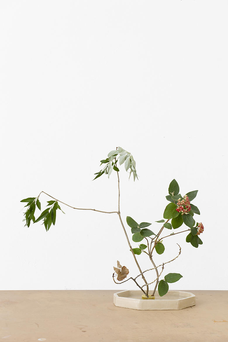 OneFlowerOneLeaf#3 - ar/ge kunst, Bozen, Italy, 2017
