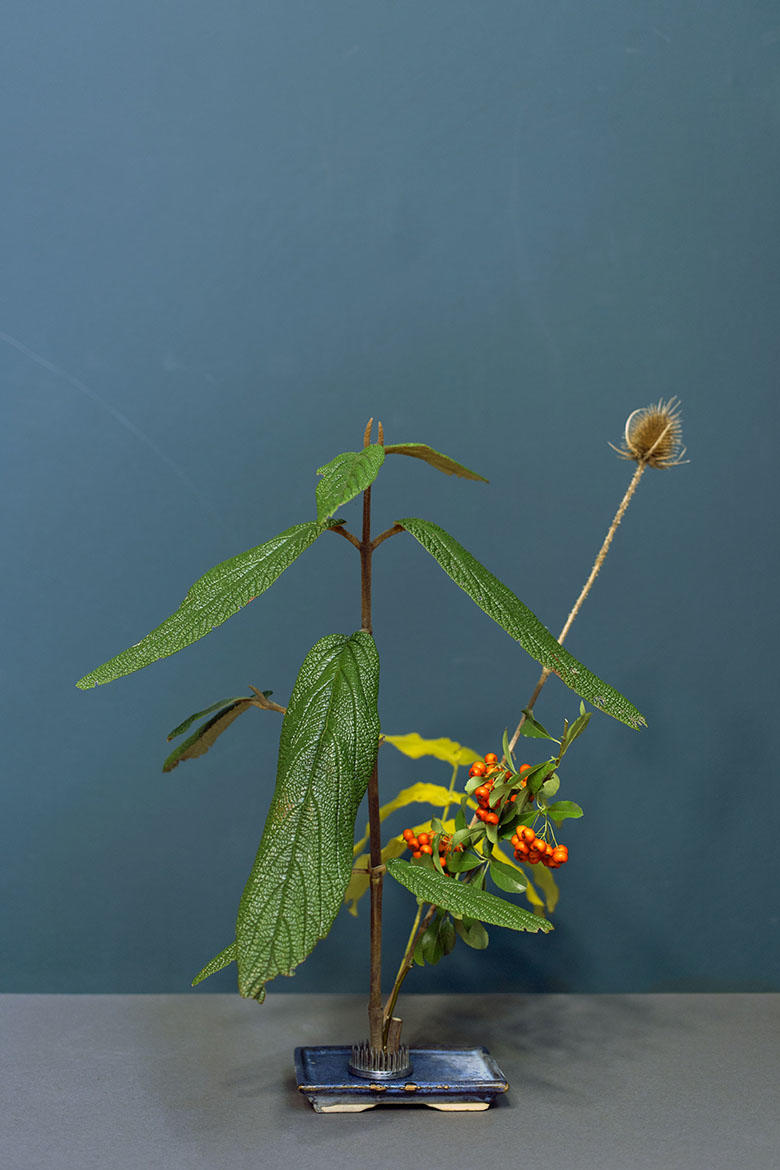 OneFlowerOneLeaf#5 - UNSEEN, Amsterdam, Holland, 2018